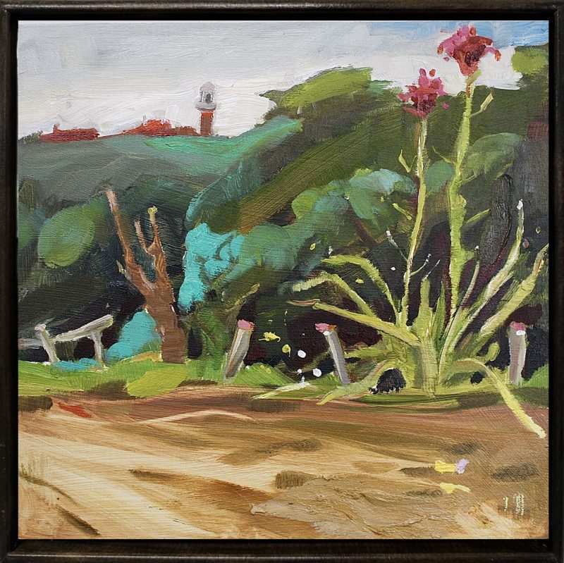 Gymea Lily at Palm Beach